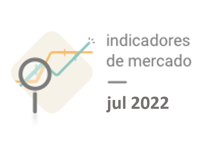 Resumo do Mercado Financeiro – Julho 2022