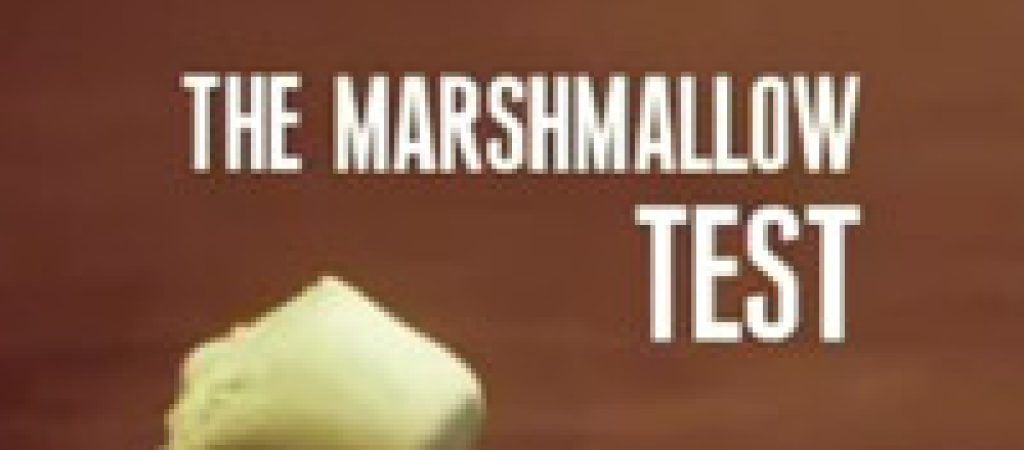 Teste do marshmallow