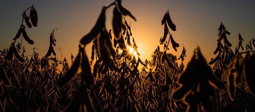 shutterstock_1965275332 (1)