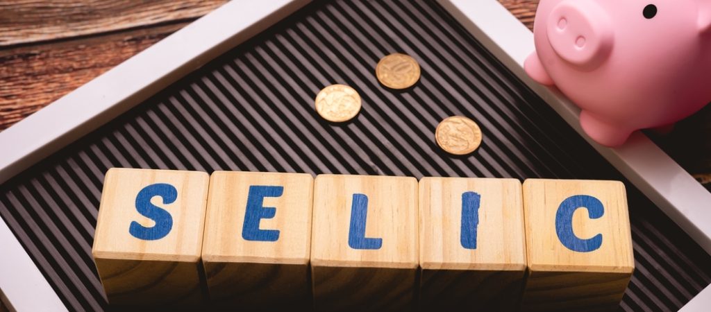 The,Word,Selic,Written,On,Wooden,Cubes,With,A,Piggy