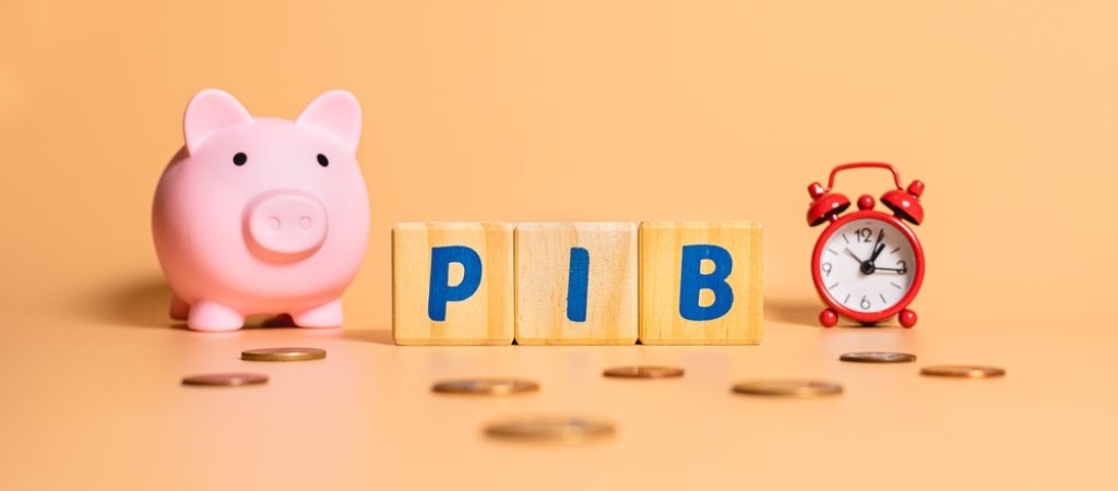 The,Word,Pib,In,Brazilian,Portuguese,Which,Is,The,Abbreviation